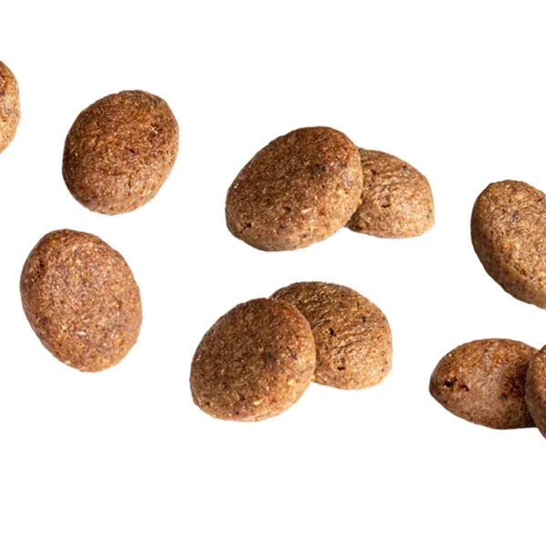 Close-up view of Euro Premium Adult STERILIZED+ Fresh Chicken kibble, showing its textured, oval shape designed for satiation and digestibility.