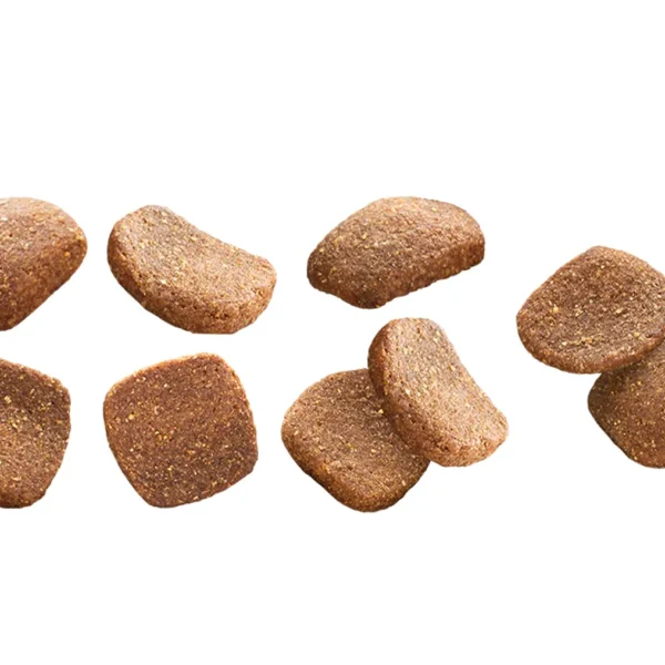 Close-up view of Euro Premium Giant Adult Chicken & Rice kibble, showing texture, shape, and size.