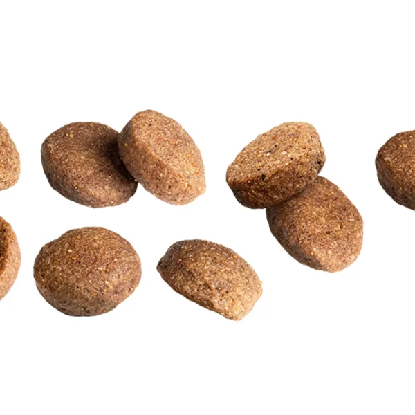 Close-up view of Euro Premium Large Adult Chicken & Rice kibble, showing texture, shape, and size.