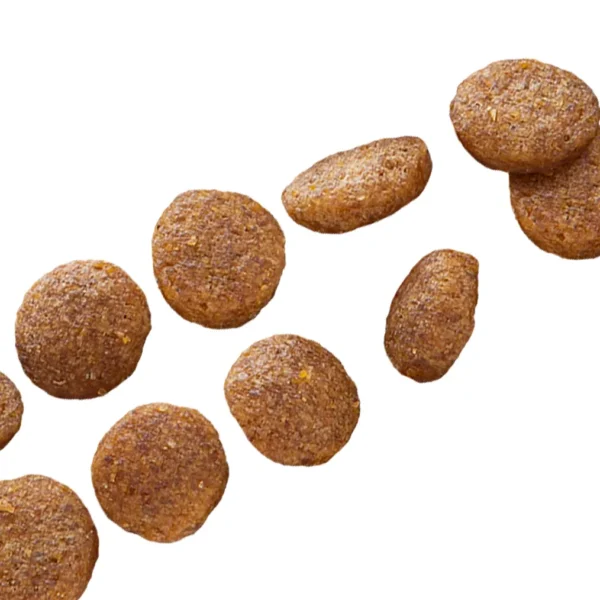 Close-up view of Euro Premium Large Puppy Chicken & Rice kibble, showing texture, shape, and size.