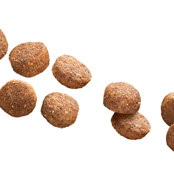 Close-up view of Euro Premium Medium Adult Chicken & Rice kibble, showing texture, shape, and size.