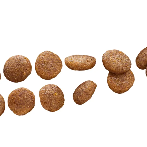 Close-up view of Euro Premium Medium Puppy Chicken & Rice kibble, showing texture, shape, and size.