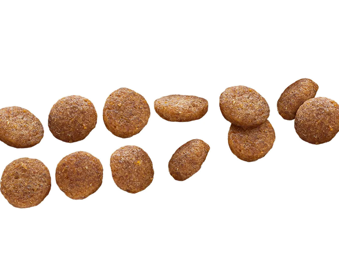 Euro Premium Medium Puppy Chicken & Rice – Kibble Texture Euro Premium Medium Puppy Chicken & Rice – Kibble Texture