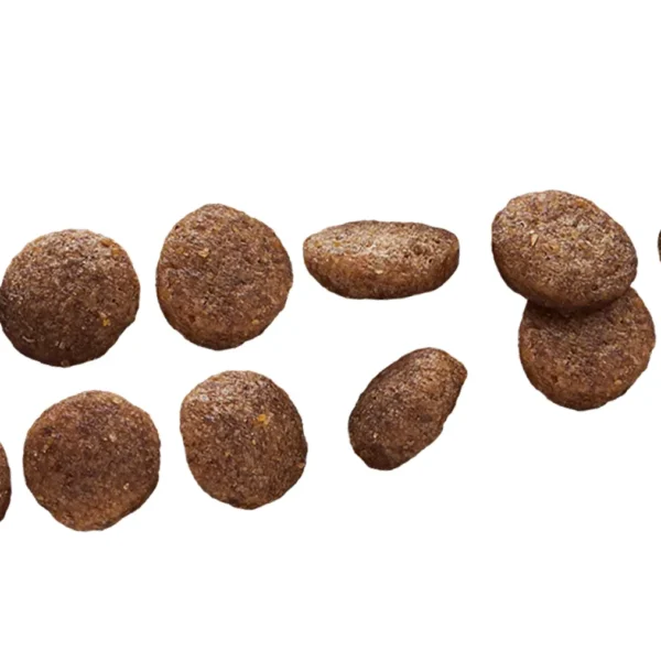 Close-up view of Euro Premium All Sizes Puppy Lamb & Rice kibble, showing texture, shape, and size.