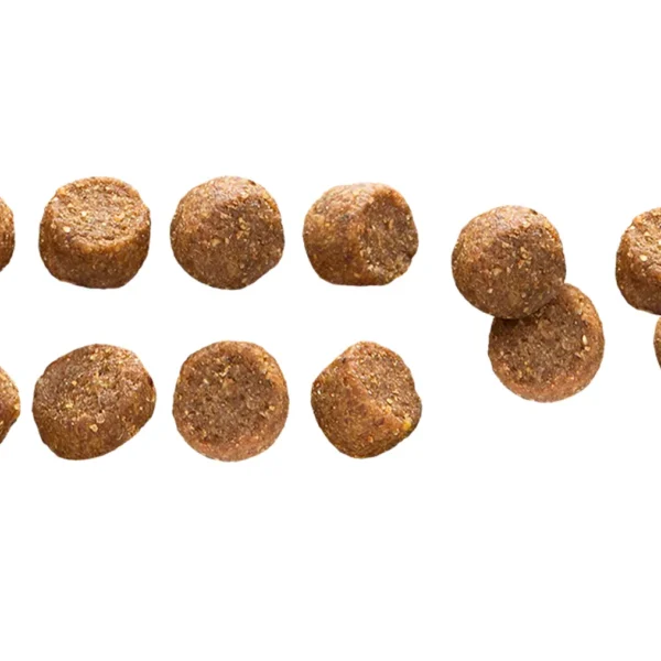 Close-up view of Euro Premium Small Adult Chicken & Rice kibble, showing texture, shape, and size.