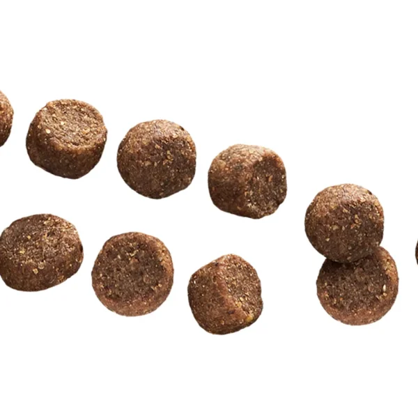 Close-up view of Euro Premium Small Adult Lamb & Rice kibble, showing texture, shape, and size.