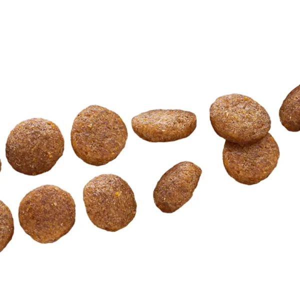 Close-up view of Euro Premium Small Puppy Chicken & Rice kibble, designed for small breed puppies.