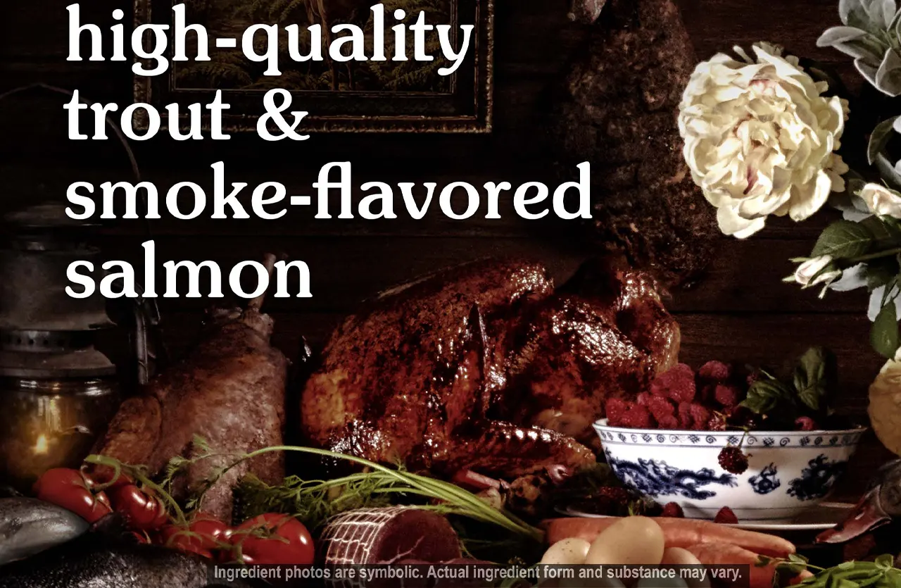 Still life image featuring trout, salmon, raspberries, and other natural ingredients, representing the balanced and high-quality nutrition of Taste of the Wild Canyon River cat food.