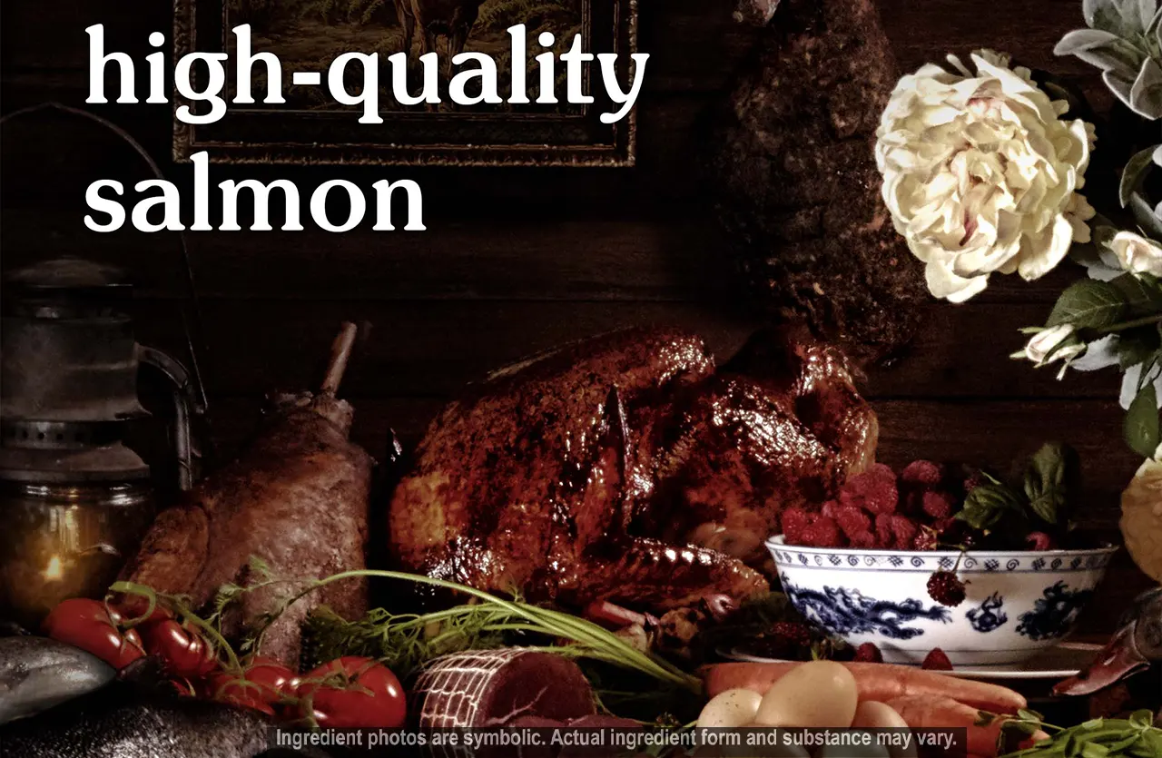 Still life featuring high-quality smoke-flavored salmon and puppy-sized kibble, illustrating the "Experience Modern Nutrition from Ocean Bounty" section.