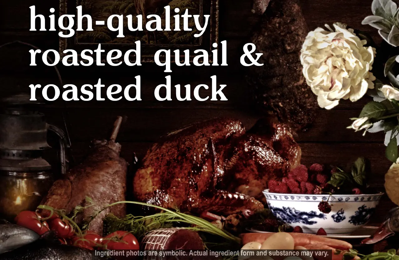 Artistic arrangement of roasted quail, duck, and berries, representing the natural and balanced nutrition of Taste of the Wild Rocky Mountain cat food.